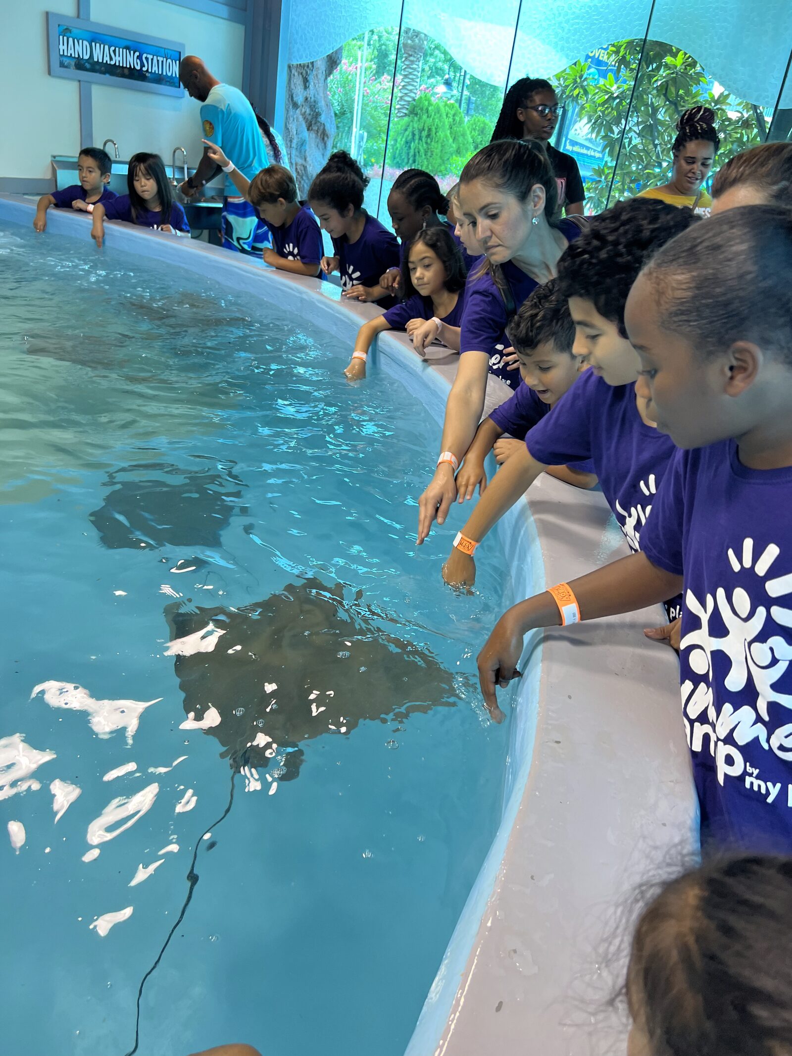 Summer Camp at MyPlace Early Learning Center, Katy TX